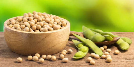 is soya keto
