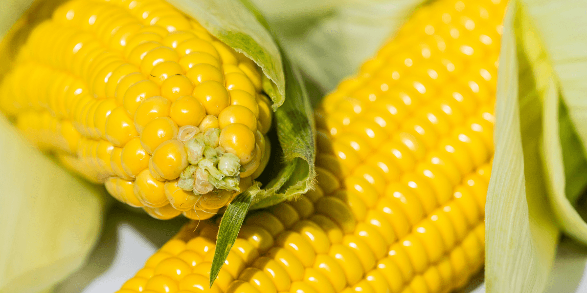is sweetcorn keto banner