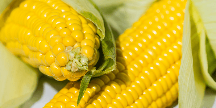 is sweetcorn keto banner