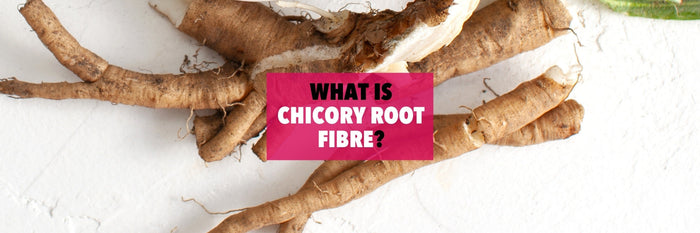 what is chicory root fibre